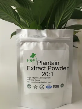 

150-1000g Free Shipping Hot Sale Plantain Extract Powder 20:1 In Bulk