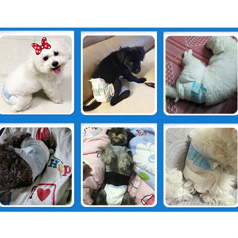 dog diaper disposable Diaper Shorts Thickened Leakproof Rapid Absorption Super Soft Puppy Care Supplies Diapers Female Dog