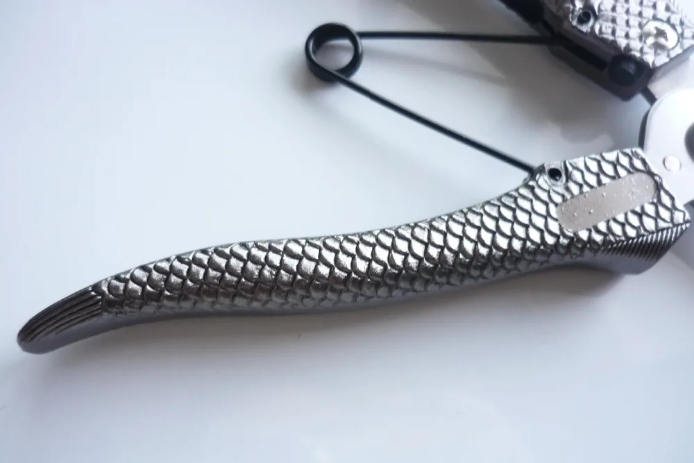 11225720740_1378621806