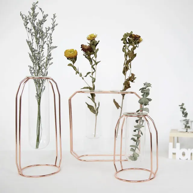 Vase hydroponique créatif nordique en verre doré, décoration de maison, porte-plante, ligne de fer, ornement de fleurs, décoration de jardin, maison chaude Vases Cocooning.net