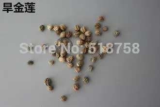 Натуральная! 10 шт свежий красочный тропеол majus Nasturtium OoEasy PSe-edsing flower Oo(15-F0021