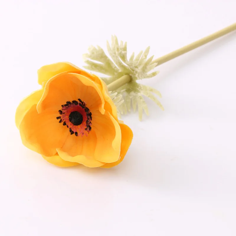 17301531492_1358735368