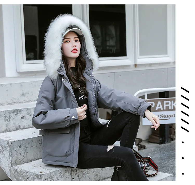 High-End Large Size Cotton Coat WOMEN'S Coat Autumn And Winter New Style Fashion Loose-Fit Slimming-Style Short Hooded Fur