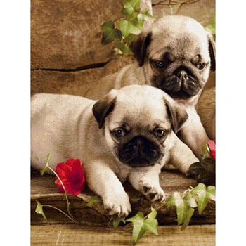 

100% Full 5D diy Daimond Painting 3D diamond painting full round rhinestones diamant painting embroidery "Cute Dog"