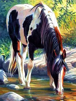 Brown and white horse drinking from a stream painting by numbers kit Brown and white horse drinking from a stream painting by numbers kit