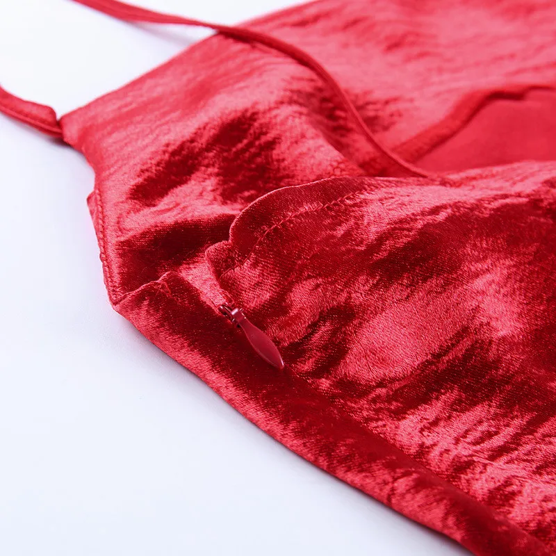 13868839952_2146010042