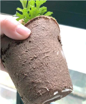 

1000pcs Nursery pot 8*8cm Environment friendly dissolvable paper grow bag