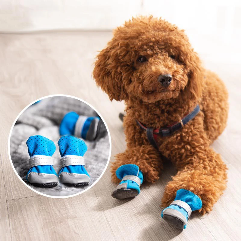 rain boots for small dogs