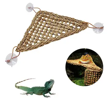 Reptile Lizard Hammock