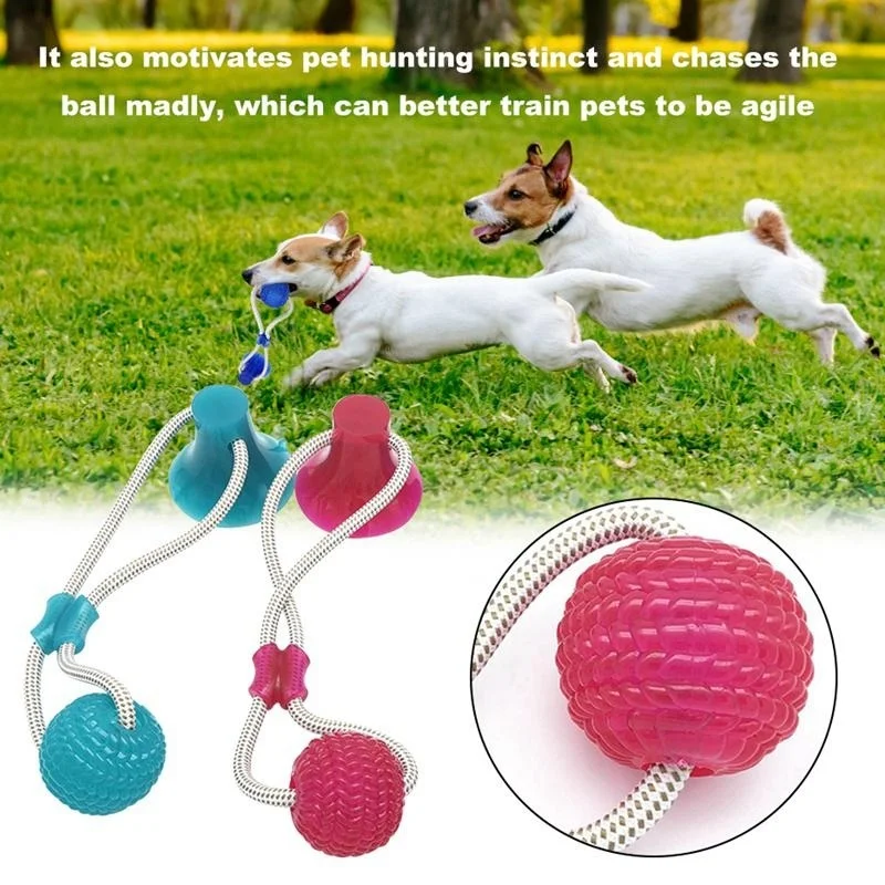 Игрушка для укуса молярных животных кошки собаки Канатный шарик игрушки жевания