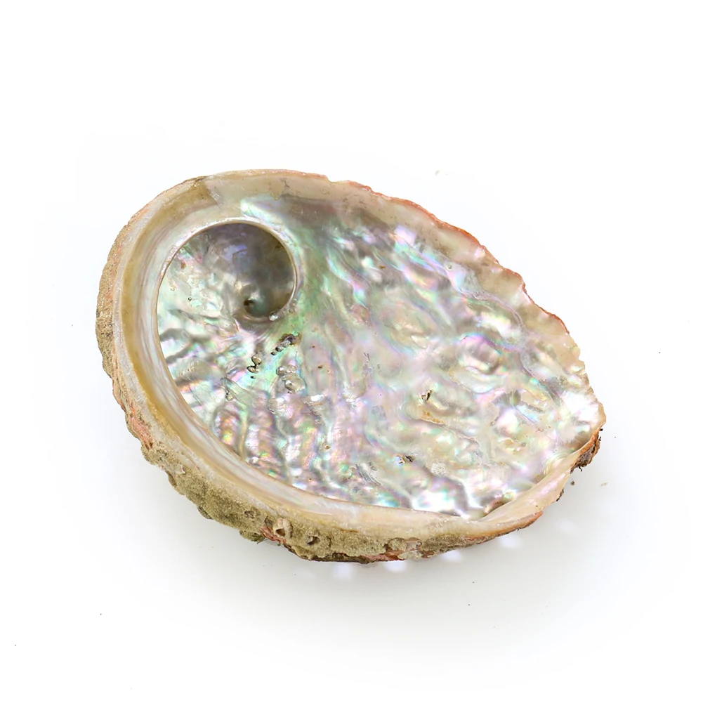 Hbcc7dd56b167461ba1fa2058a77b3d20V.jpg?width=1001&height=1001&hash=2002