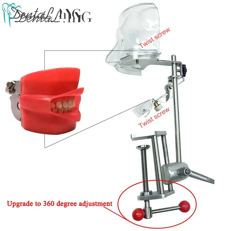 US $124.29 Head Model Dental Simulator Manikin Phantom With New Style Bench Mount Dental Models For Dentist Teaching 360degree adjustment