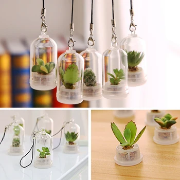 

Simulation Succulent Plant Keychains Mini Bonsai Keyring Green Plants Phone Pendant Micro Landscape Pendant Bottle Key Chain