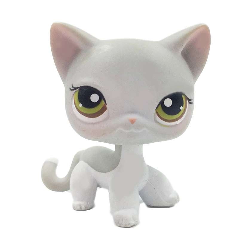 Новые игрушки стоят в магазине домашних животных Felina Meow короткие волосы кошка с