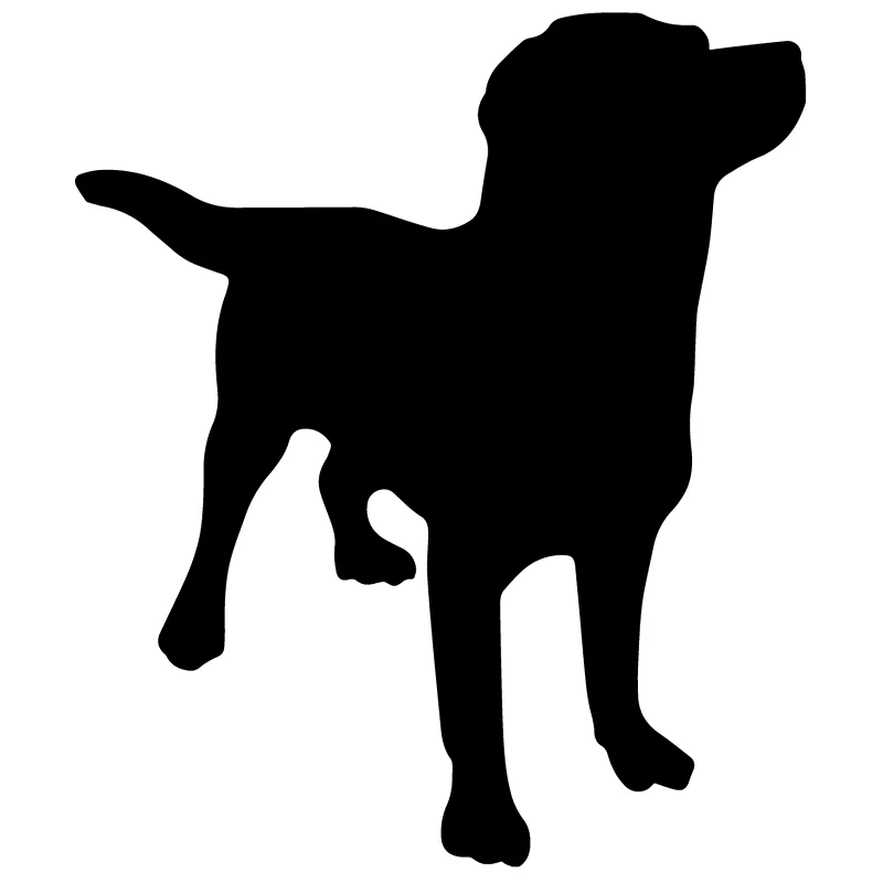 

15*12.8cm Labrador sticker Funny Car Window Bumper Novelty JDM Drift Vinyl Decal Sticker Car Styling