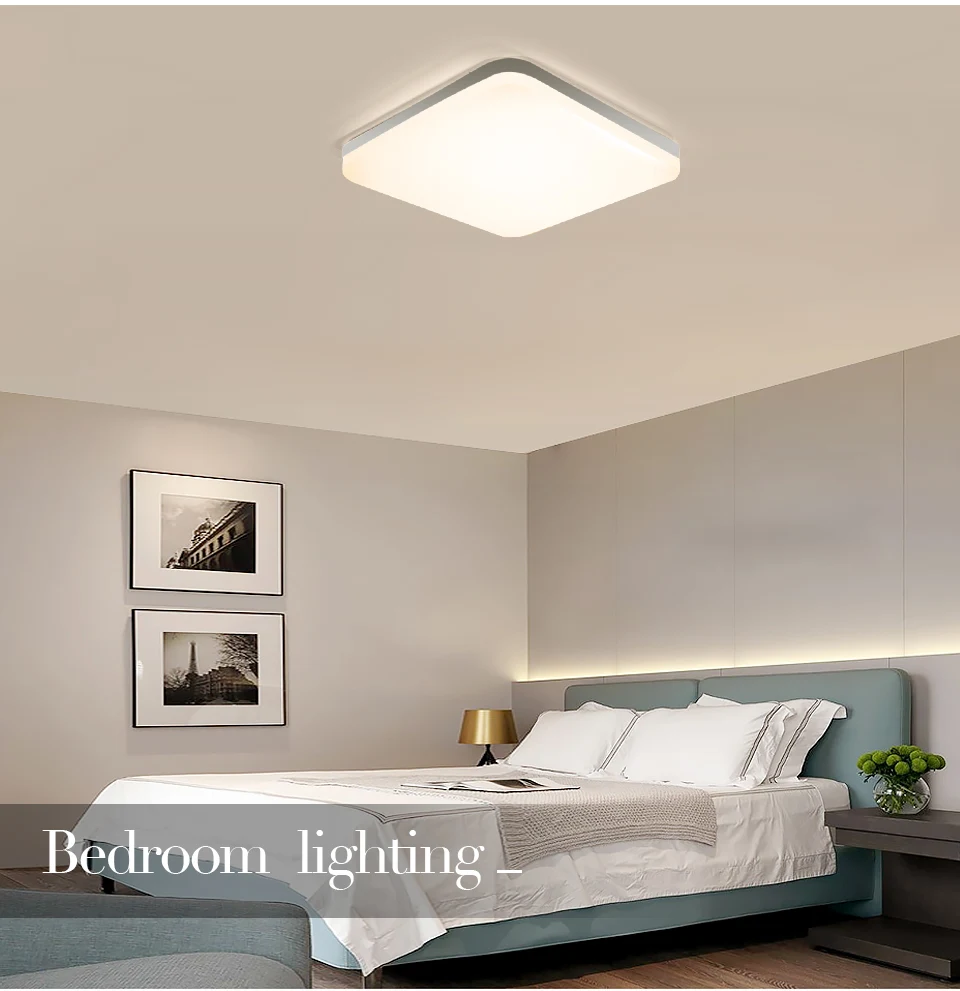 LED ceiling lights for room 18W 24W 36W 48W Cold Warm White Natural light LED fixtures ceiling lamps for living room lighting ceiling light fixture