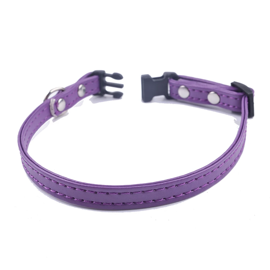 purple cat collar