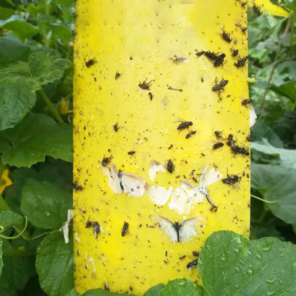 10 шт. двусторонняя клейкая ловушка для ловли мух насекомых водонепроницаемые