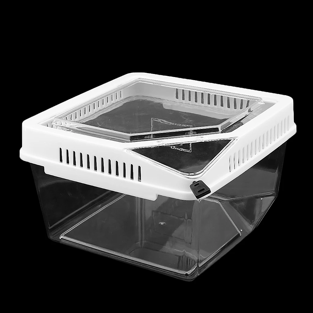 Reptile Snake Lizard Tarantula Frog Breeding Box Feeding Habitat Container Tank