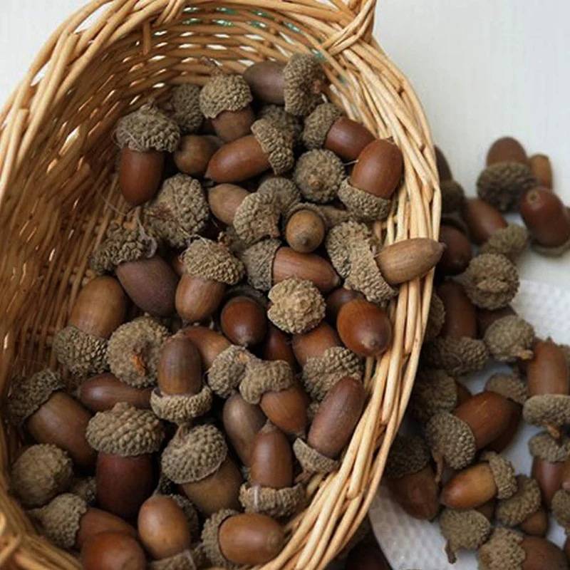 Artificial Acorn, 100PCS Fake Nutty for Home Vase Filler Decor Photography Props Christmas Decoration Accessories