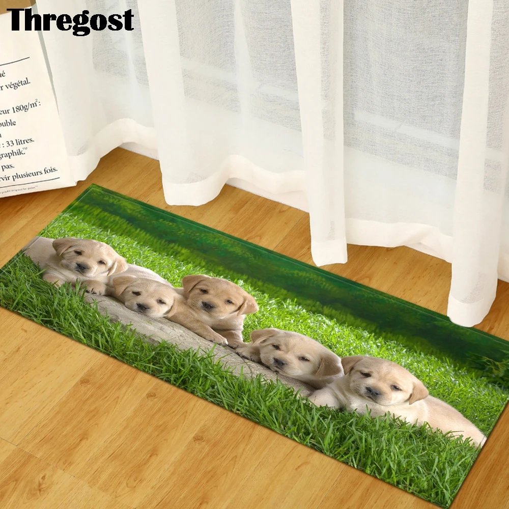 Thregost, 3D рисунок с животными, домашний коврик, кухонный ковер, Противоскользящие коврики, длинные коврики для гостиной, домашний коврик, добро пожаловать