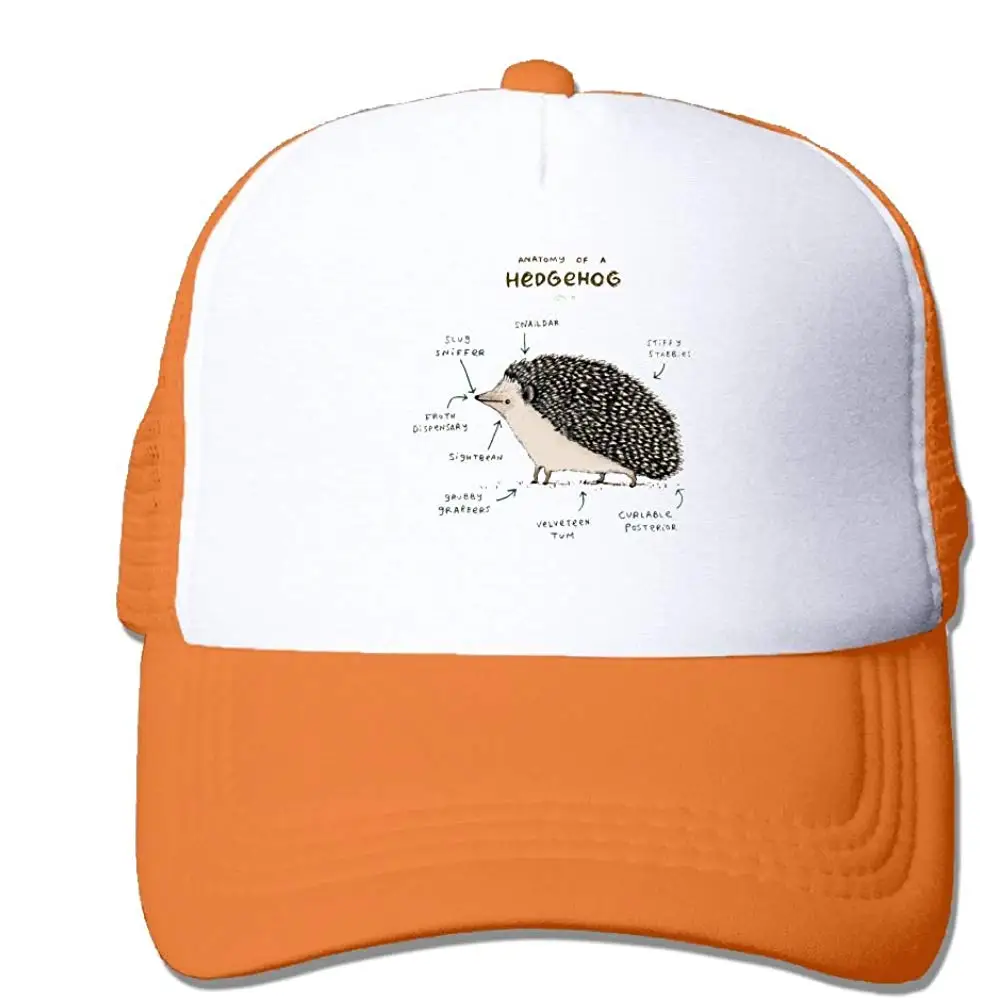 Анатомия Ежика Защита от солнца регулируемые шапки охлаждения сетки шляпа RoyalBlue