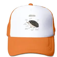 Анатомия Ежика Защита от солнца регулируемые шапки охлаждения сетки шляпа RoyalBlue