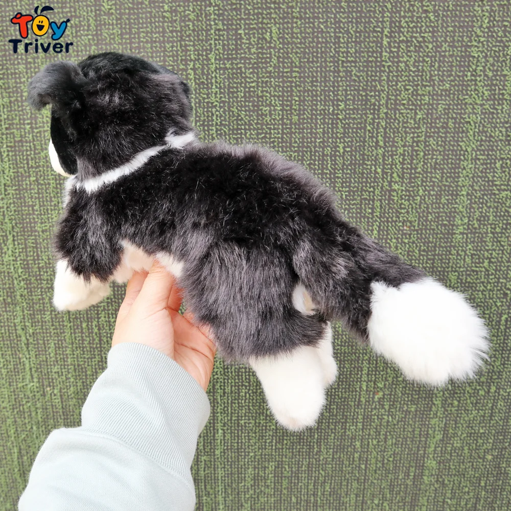 Border Collie High Fidelity Cute Plushie Shepherd Dog Plush Toys Lifelike  Animals Simulation Stuffed Doll Kawai Toy Gifts Kids - AliExpress