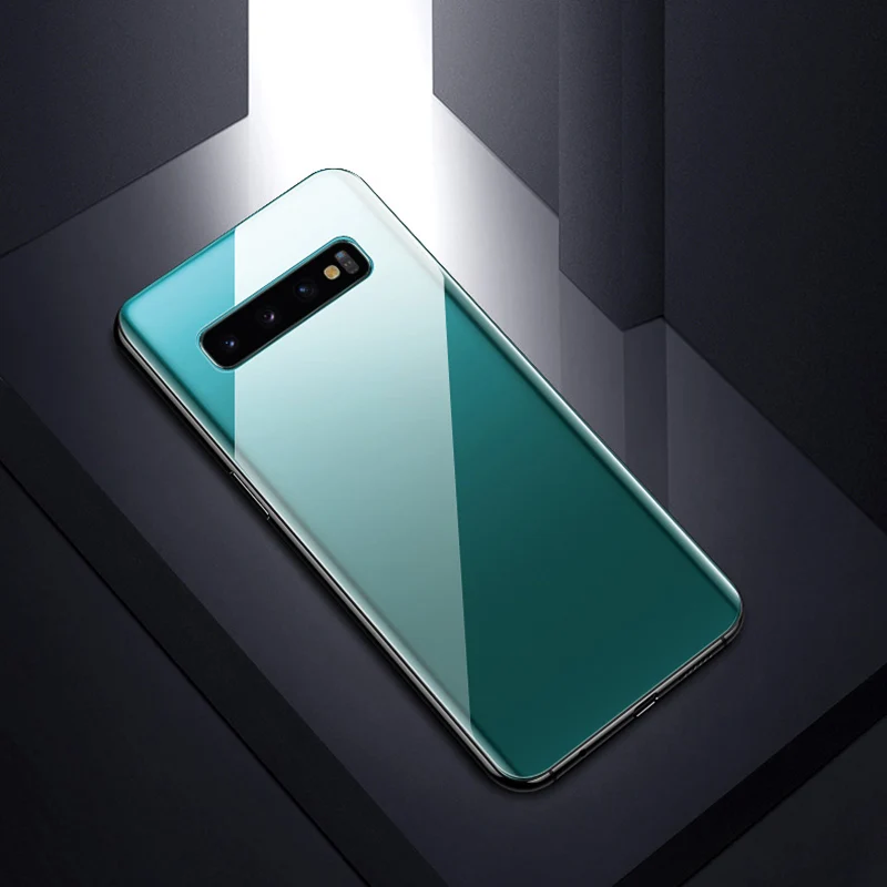 10D защитная пленка на заднюю панель для samsung Galaxy S10 5G S9 S8 Plus Защитная пленка для samsung Note 9 8(не стекло