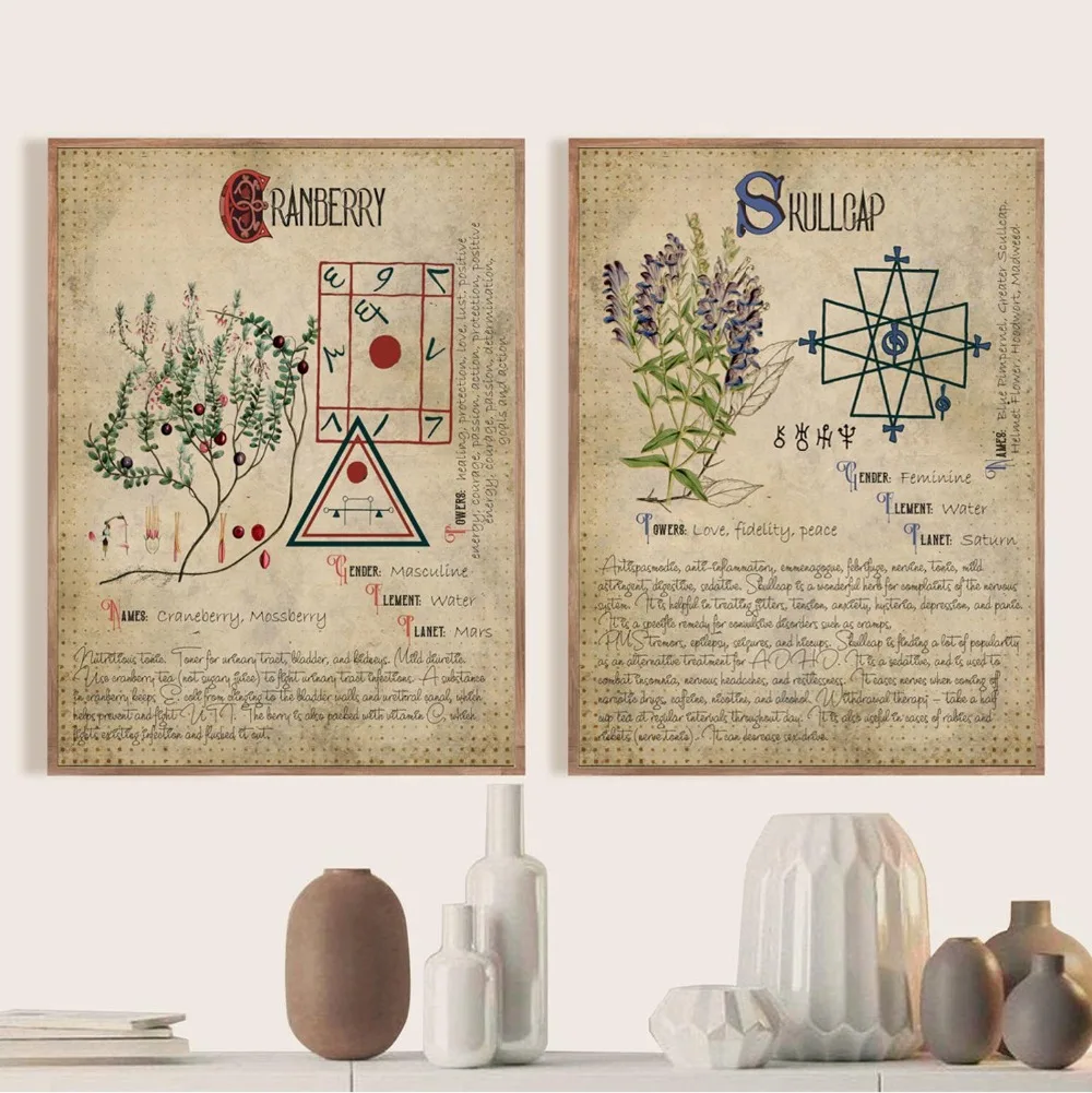 Witchcraft-Book-of-Shadows-Vintage-Prints-Herbal-Grimoire-BOS-Sheets-Posters-Herbarium-Wall-Art-Pictures-Canvas (2)
