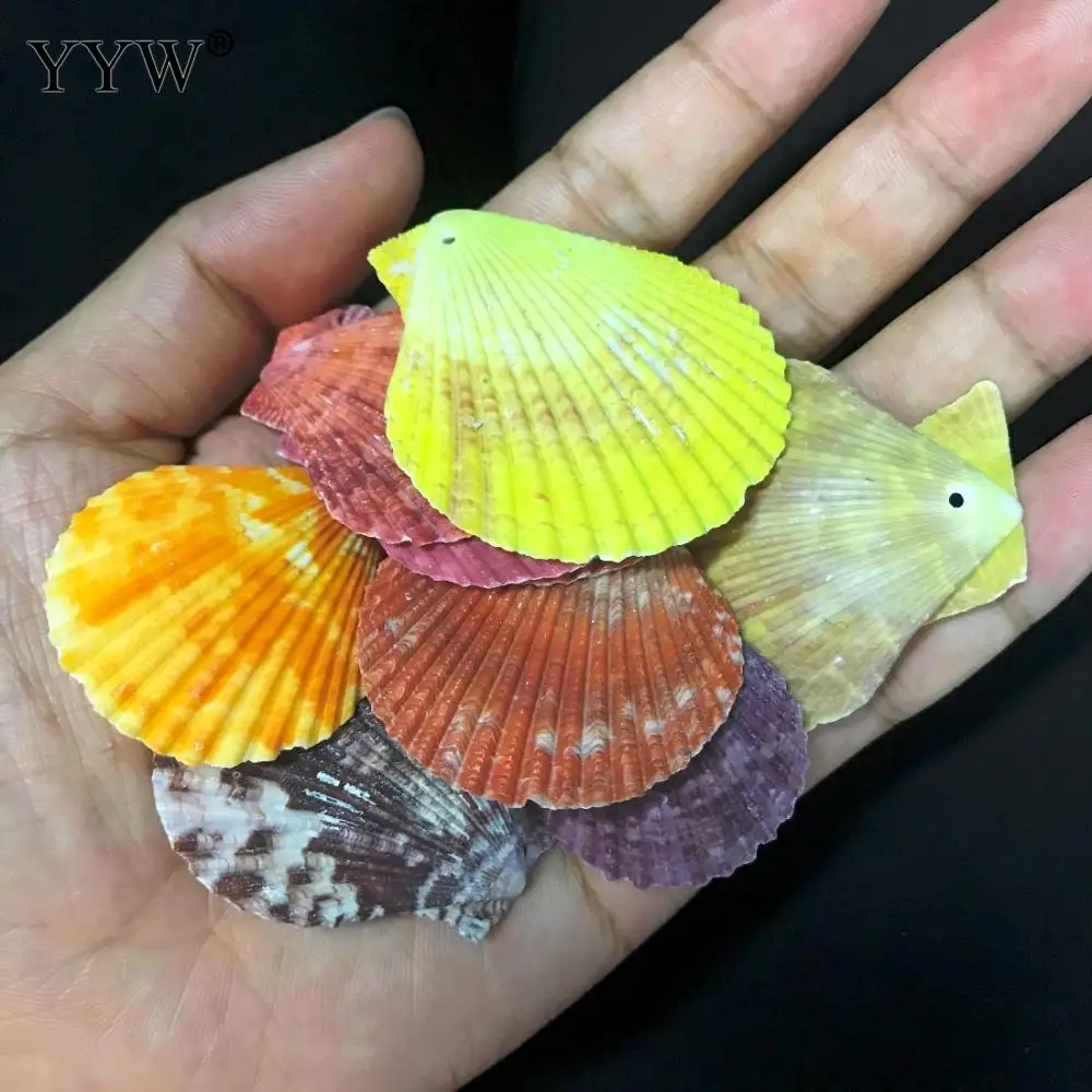 130 шт./пакет морские раковины смесь 1,5 мм гребешок щелпен Coquillage Conchas оболочка для украшения дома Вавилон морской домашний Морской Декор