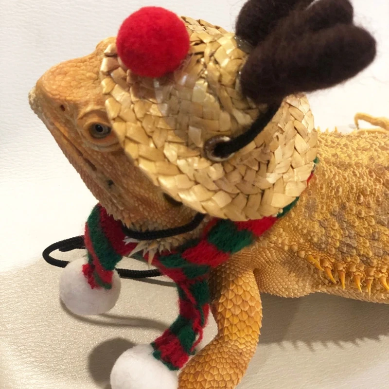 Winter Warm Small Animal Christmas Costume Guinea Pigs Hat and Scarf for Hamster Hedgehog Lizard Bearded Dragon Cosplay
