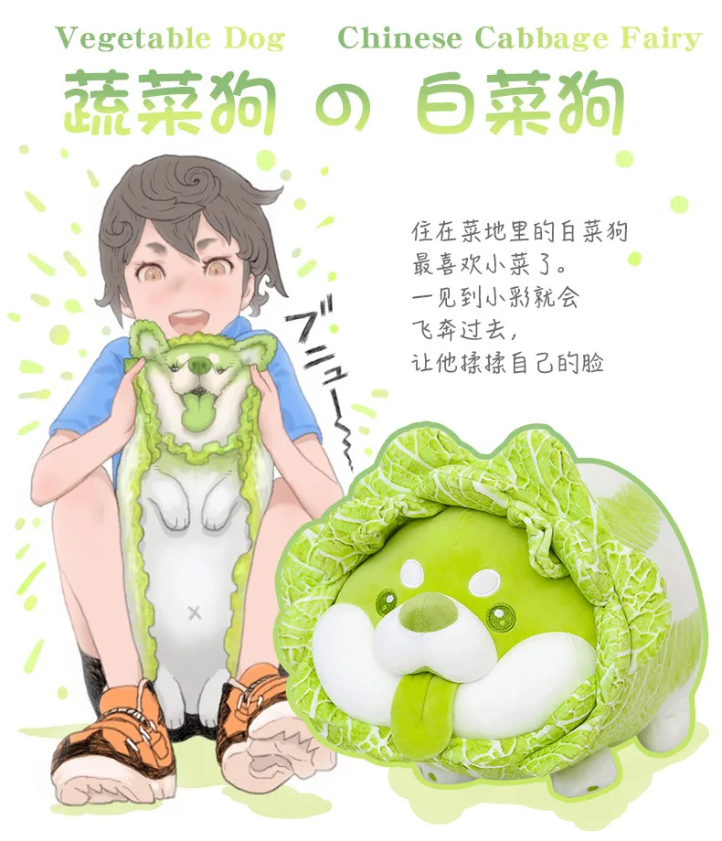 gmmUi/2jyNSkrcd4g6lnVJjhx1gVBtAAG1JQ