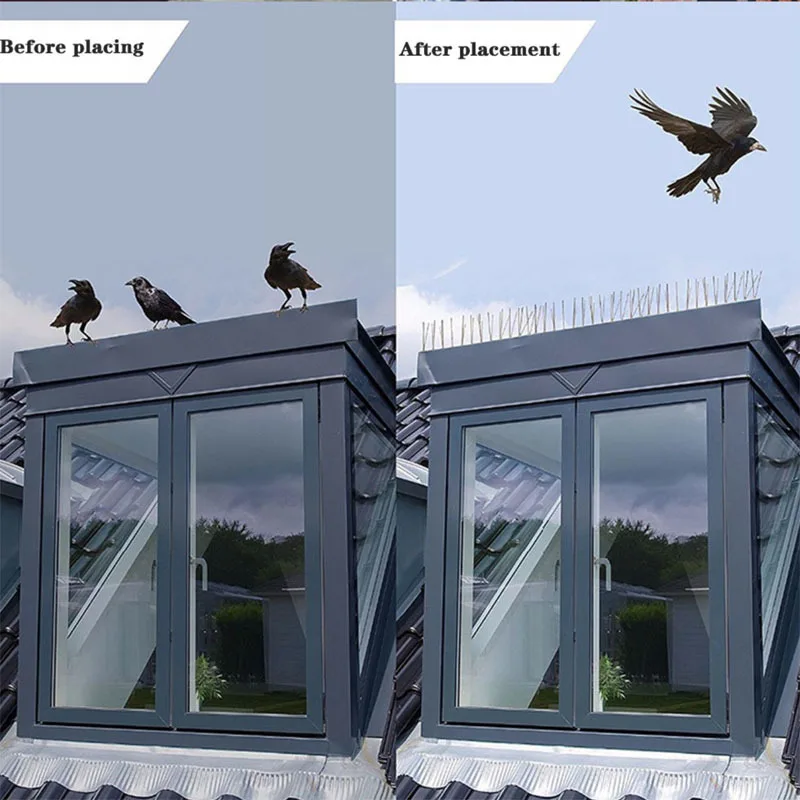 dd2f135163590ea9cc131ac0b5e67703