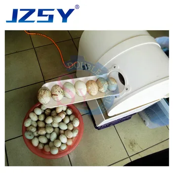 Online JZSY 2019 New Design Industrial Small Automatic Roller Brush Type Duck Egg Washer/ABS Plastic Body Goose Egg Cleaning Machine