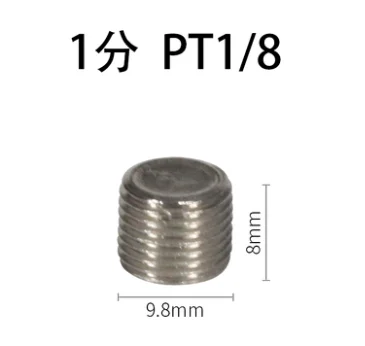 10 шт. 1/" 1/4" 3/" 1/2" PT наружная резьба Внутренняя Шестигранная головка трубы вилки гнездо пневматические фитинги - Цвет: BSL-01