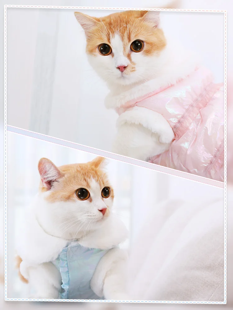 Одежда для кошек; милая английская Короткая синяя кошка; котенок; осенняя одежда для домашних животных; утолщенная осенне-зимняя одежда BB50WY