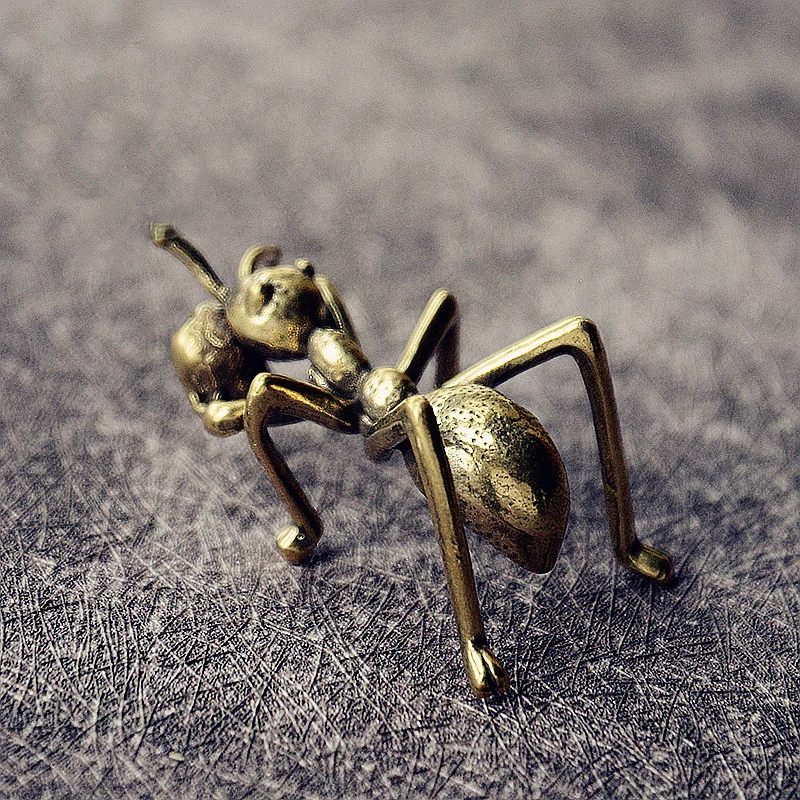 11288559983_1575278993