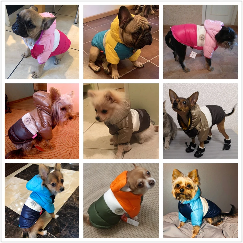Зимняя одежда для домашних животных для собак, водонепроницаемый пуховик с капюшоном для собак, теплая одежда для щенков, чихуахуа, мопс, французская одежда для бульдога