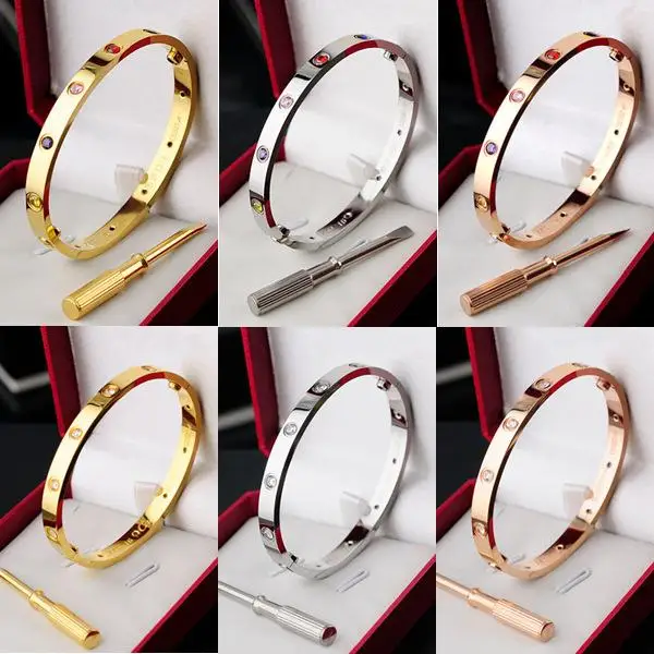 

New Hot Sale Silver Gold Rose Gold 316L Stainless Steel Screw Crystal Rhinestone Bangle Bracelet With Screwdriver Women Men Gift
