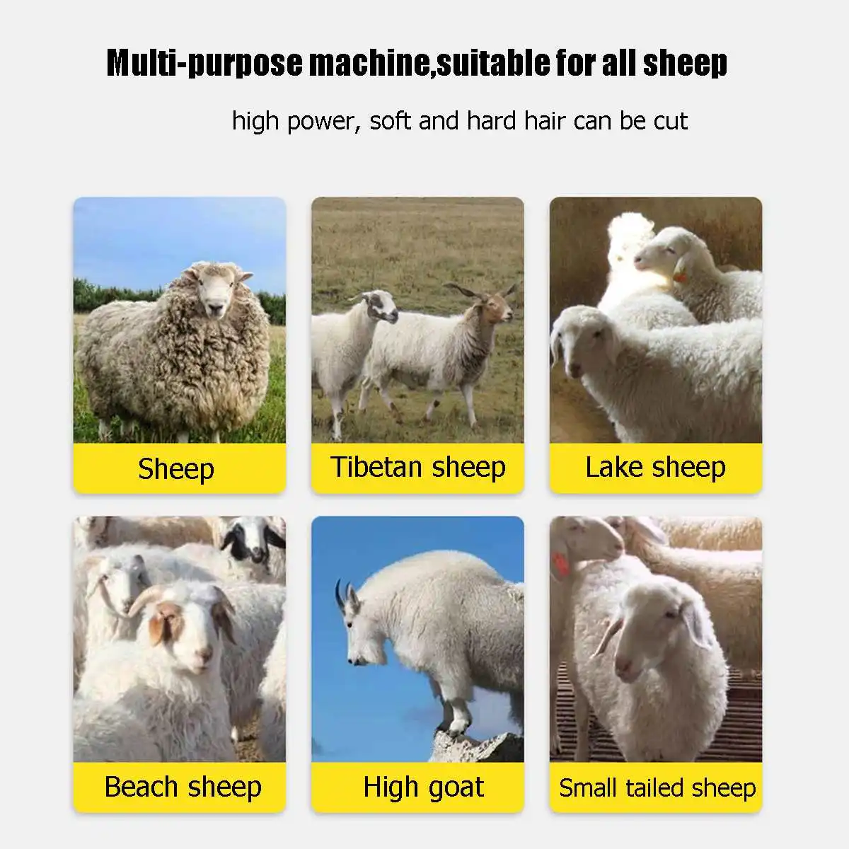 6 speed Electric Sheep Pet Hair Clipper Shearing Kit Shear Wool Cut Goat Pet Animal Shearing Supplies Farm Cut Machine 5