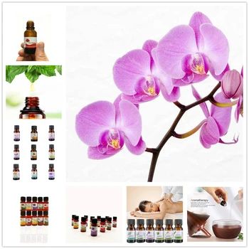 

10ml Water-soluble Plant Essential Oil Aromatherapy Organic Chinese Wistaria Essential Oil Relieve Body Stress Skin Care TSLM2