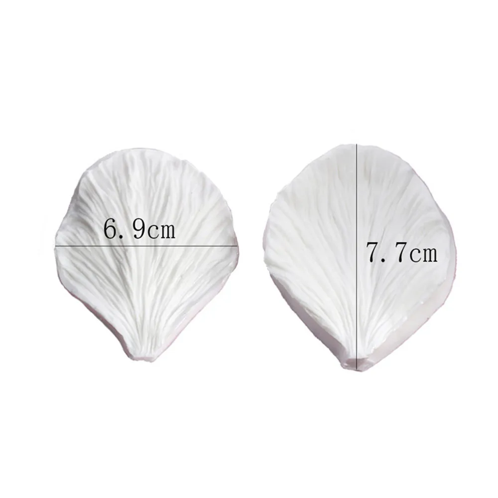 11059333516_129465346