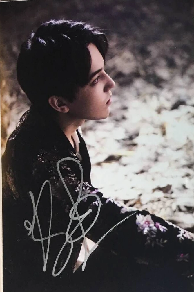 Dimash Kudaibergen с автографом, подписанное фото, 15X10 см, популярная музыка, китайский певец, художественная звезда