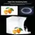 PULUZ 20cm/30cm LED Ring Light box Lightbox Photo Studio Box Photography Light Studio Shooting Tent Box Kit & 6 Цветных Фонов