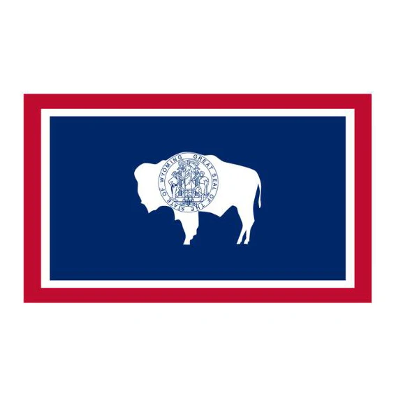 PODIUM 60x90cm 90x150cm 120x180cm State Of Wyoming Flag USA | Дом и сад