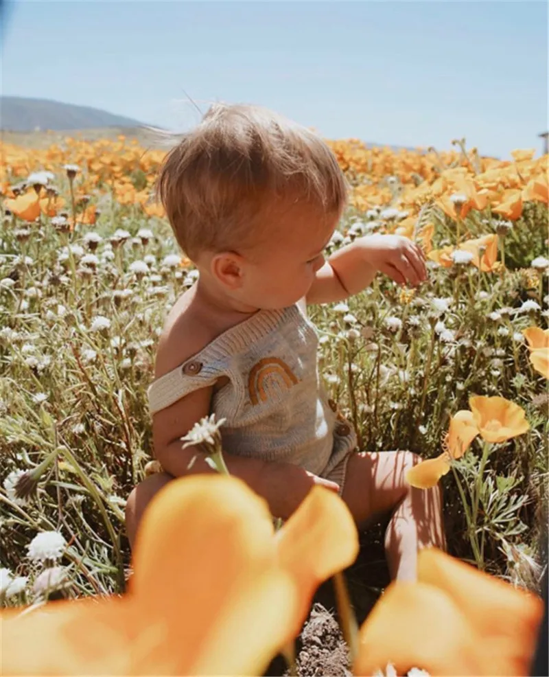 5c9ab021520646ff478781cb54909e6