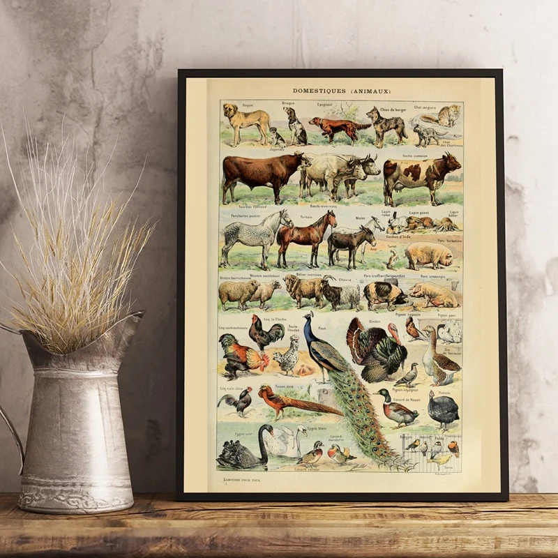 Винтаж стиль картина с рисунком животных насекомые образца высокого качества