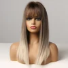 ALAN EATON Long Straight Hair Ombre Black Brown Gray Ash Lolita Bob Synthetic Wig with Bangs for Women Cosplay Heat Resistant ► Photo 2/6