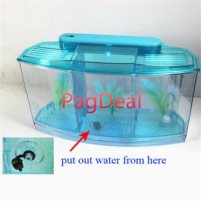 betta box01_